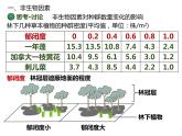 人教版（2019）高二生物选择性必修2-1.3影响种群数量变化的因素课件PPT