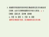 2021_2022学年新教材高中生物高效作业6细胞膜控制细胞与周围环境的联系课件浙科版必修第一册