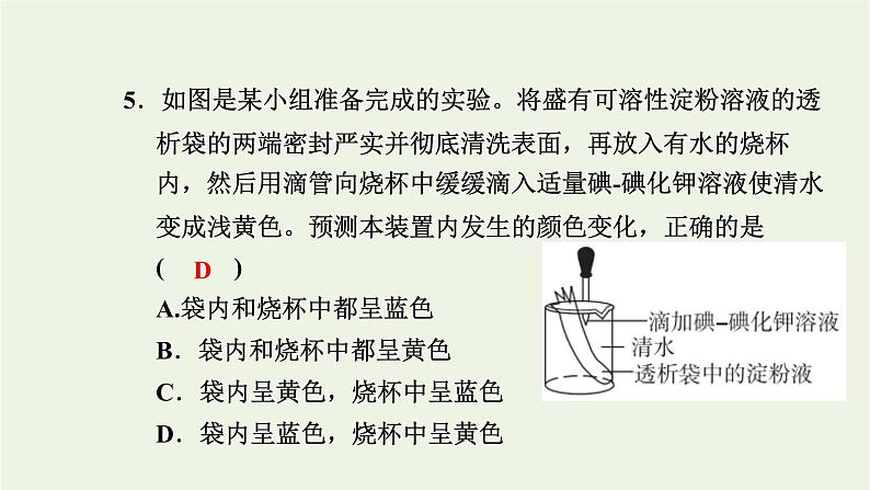 2021_2022学年新教材高中生物高效作业6细胞膜控制细胞与周围环境的联系课件浙科版必修第一册07