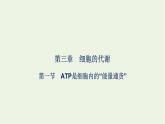 2021_2022學(xué)年新教材高中生物第三章細(xì)胞的代謝第一節(jié)ATP是細(xì)胞內(nèi)的“能量通貨”課件浙科版必修第一冊