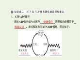 2021_2022學(xué)年新教材高中生物第三章細(xì)胞的代謝第一節(jié)ATP是細(xì)胞內(nèi)的“能量通貨”課件浙科版必修第一冊