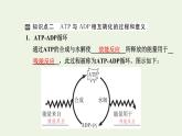 2021_2022学年新教材高中生物第三章细胞的代谢第一节ATP是细胞内的“能量通货”课件浙科版必修第一册