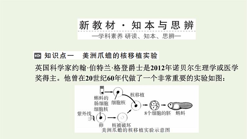 2021_2022学年新教材高中生物第四章细胞的生命历程第二节细胞通过分化产生不同类型的细胞课件浙科版必修第一册第3页