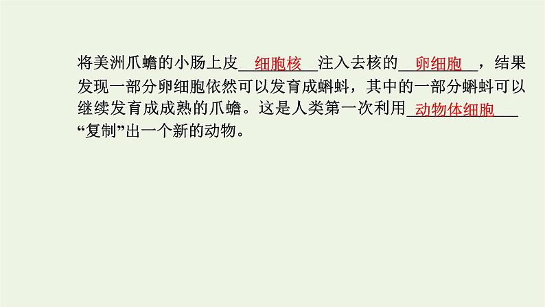 2021_2022学年新教材高中生物第四章细胞的生命历程第二节细胞通过分化产生不同类型的细胞课件浙科版必修第一册第4页