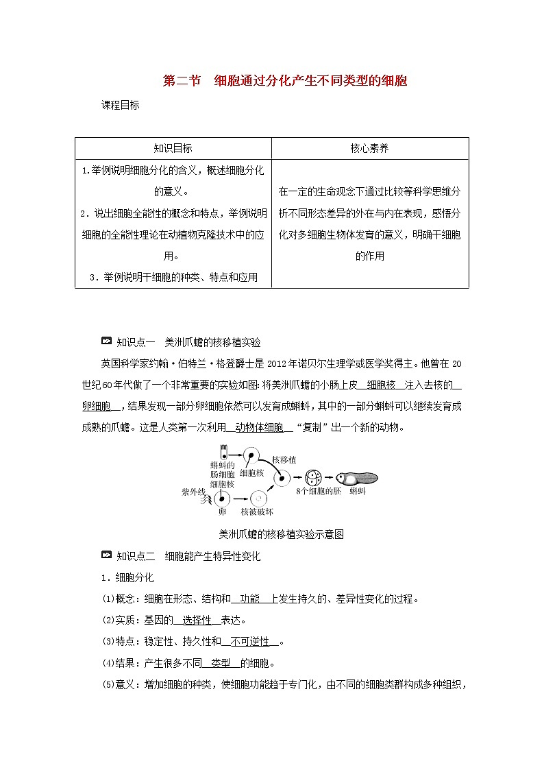 2021_2022学年新教材高中生物第四章细胞的生命历程第二节细胞通过分化产生不同类型的细胞学案浙科版必修第一册01