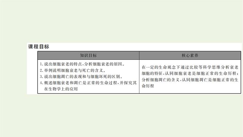 2021_2022学年新教材高中生物第四章细胞的生命历程第三节细胞凋亡是编程性死亡课件浙科版必修第一册02