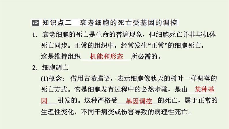 2021_2022学年新教材高中生物第四章细胞的生命历程第三节细胞凋亡是编程性死亡课件浙科版必修第一册05