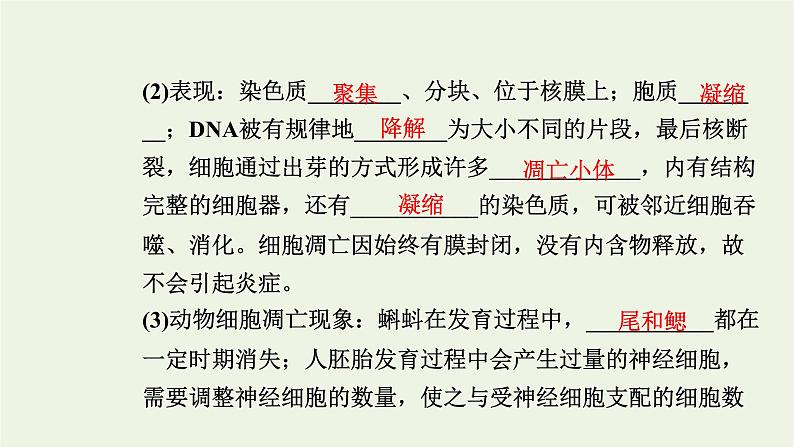 2021_2022学年新教材高中生物第四章细胞的生命历程第三节细胞凋亡是编程性死亡课件浙科版必修第一册06