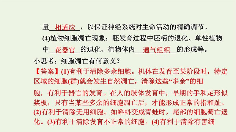 2021_2022学年新教材高中生物第四章细胞的生命历程第三节细胞凋亡是编程性死亡课件浙科版必修第一册07