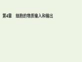 2021_2022学年新教材高中生物第4章细胞的物质输入和输出第1节被动运输课件新人教版必修1
