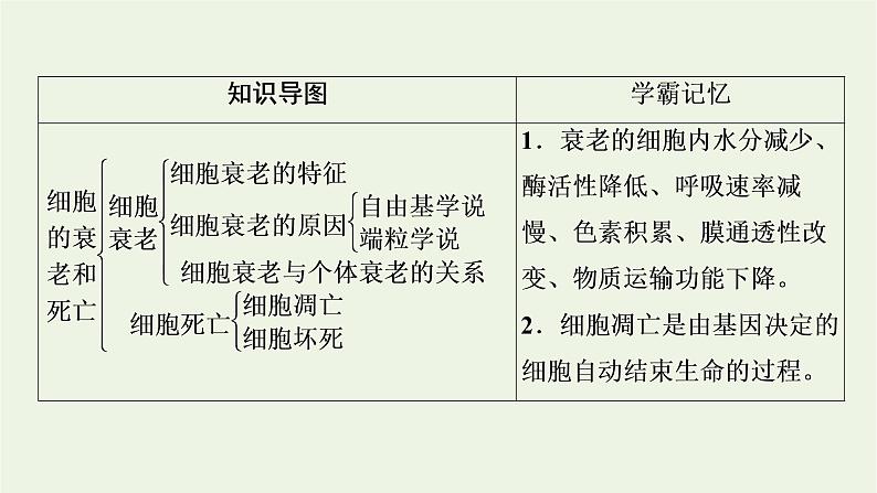 2021_2022学年新教材高中生物第6章细胞的生命历程第3节细胞的衰老和死亡课件新人教版必修1第3页