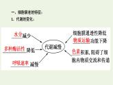 2021_2022学年新教材高中生物第6章细胞的生命历程第3节细胞的衰老和死亡课件新人教版必修1