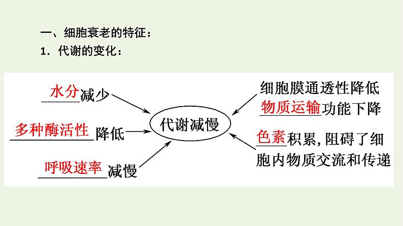 2021_2022学年新教材高中生物第6章细胞的生命历程第3节细胞的衰老和死亡课件新人教版必修1第5页