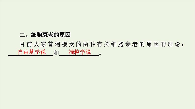 2021_2022学年新教材高中生物第6章细胞的生命历程第3节细胞的衰老和死亡课件新人教版必修1第7页