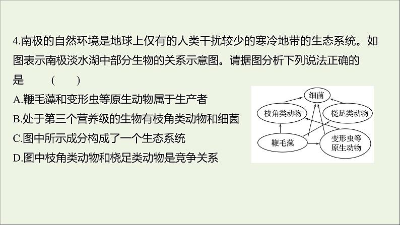 2021_2022学年新教材高中生物课时练9食物链和食物网形成生态系统的营养结构课件浙科版选择性必修206