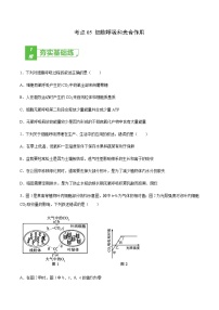 考点05 细胞呼吸和光合作用-2022年高考生物一轮复习小题多维练（全国通用）