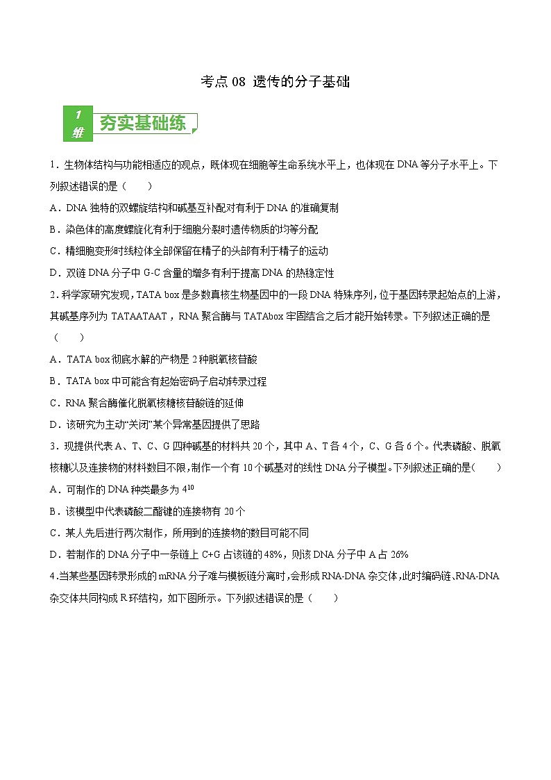 考点08 遗传的分子基础-2022年高考生物一轮复习小题多维练（全国通用）（原卷版）第1页