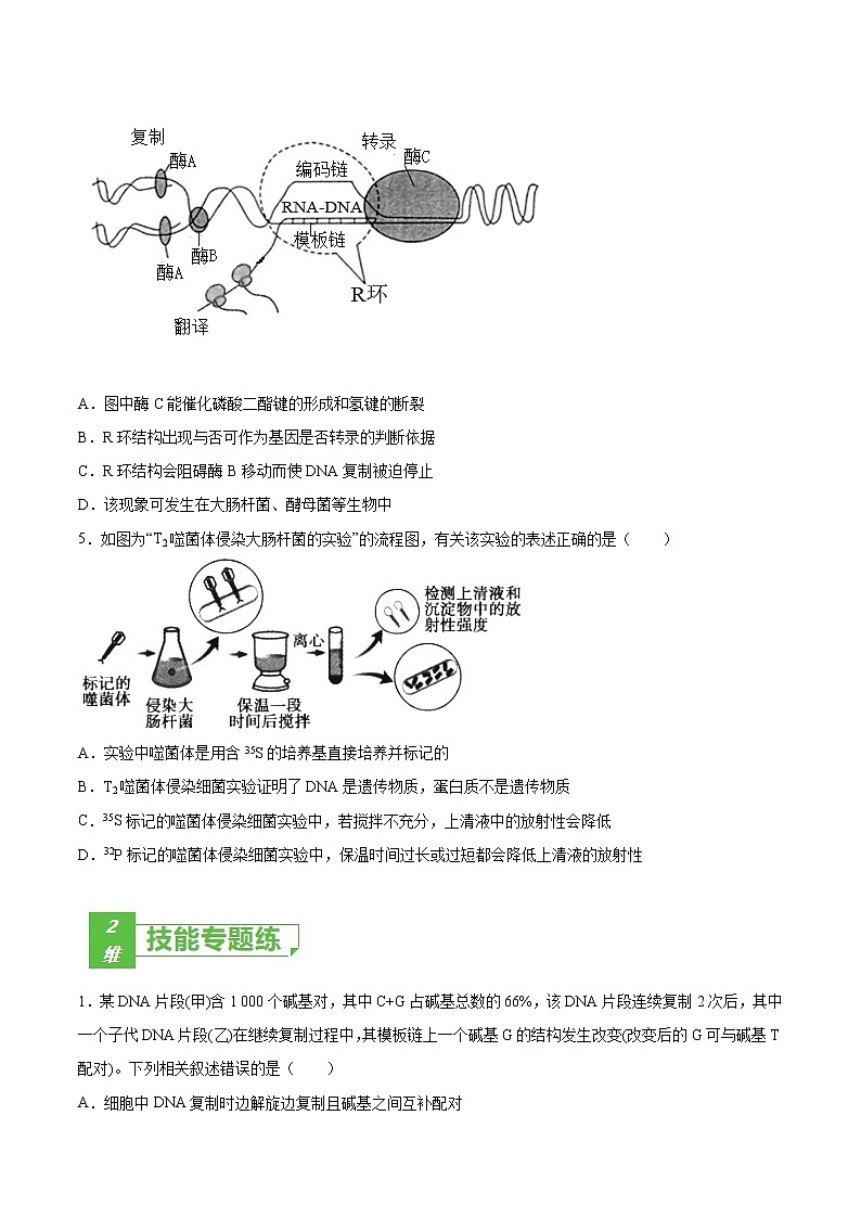 考点08 遗传的分子基础-2022年高考生物一轮复习小题多维练（全国通用）（原卷版）第2页