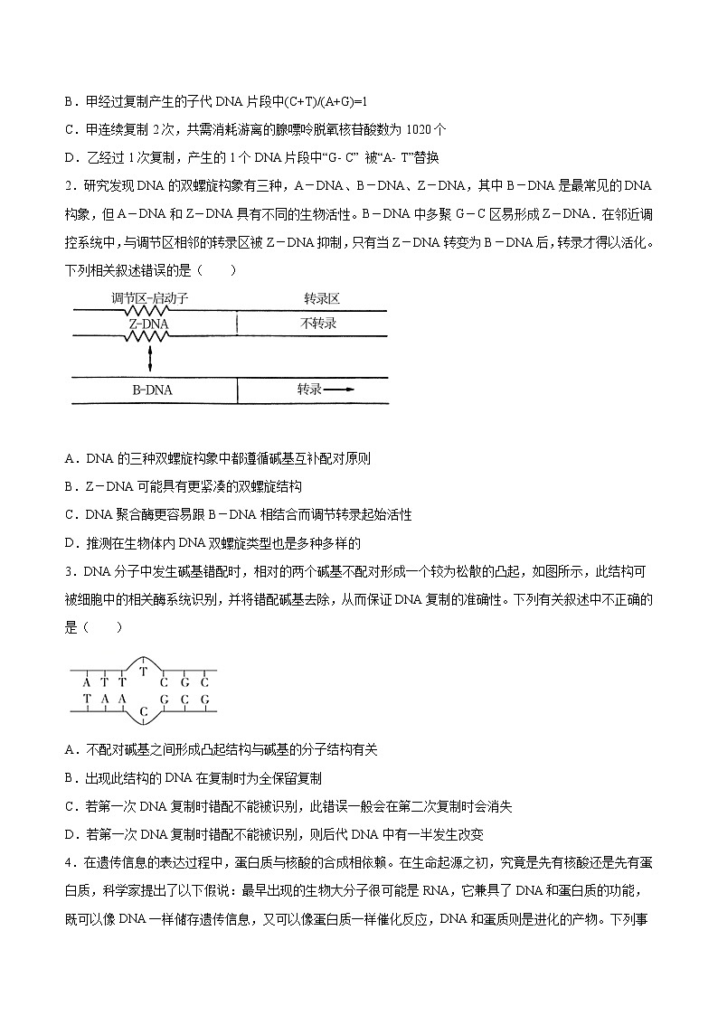 考点08 遗传的分子基础-2022年高考生物一轮复习小题多维练（全国通用）（原卷版）第3页