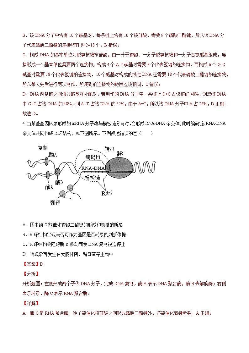 考点08 遗传的分子基础-2022年高考生物一轮复习小题多维练（全国通用）（解析版）第3页