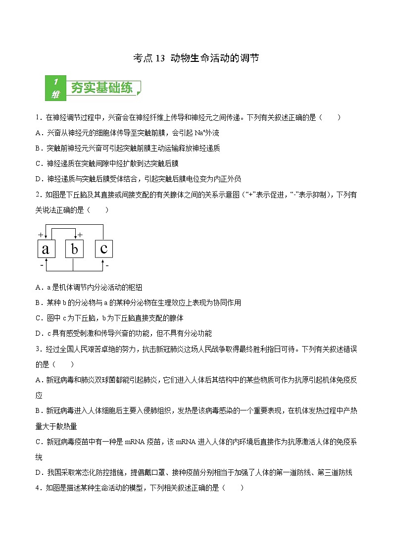 考点13 动物生命活动的调节-2022年高考生物一轮复习小题多维练（全国通用）（原卷版）第1页