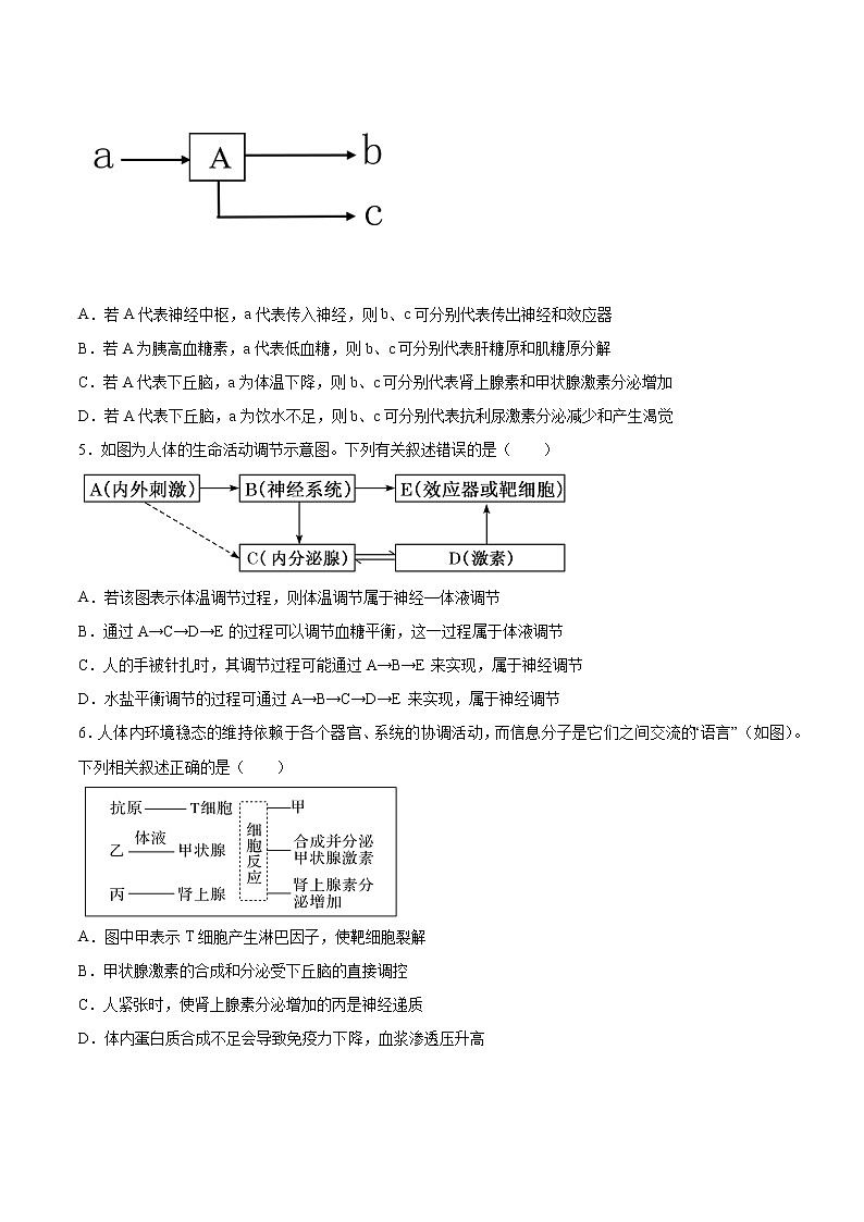 考点13 动物生命活动的调节-2022年高考生物一轮复习小题多维练（全国通用）（原卷版）第2页