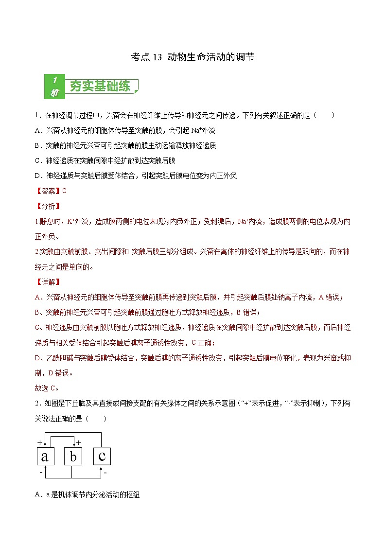 考点13 动物生命活动的调节-2022年高考生物一轮复习小题多维练（全国通用）（解析版）第1页