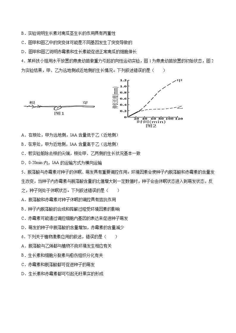 考点14 植物生命活动的调节-2022年高考生物一轮复习小题多维练（全国通用）（原卷版）第2页