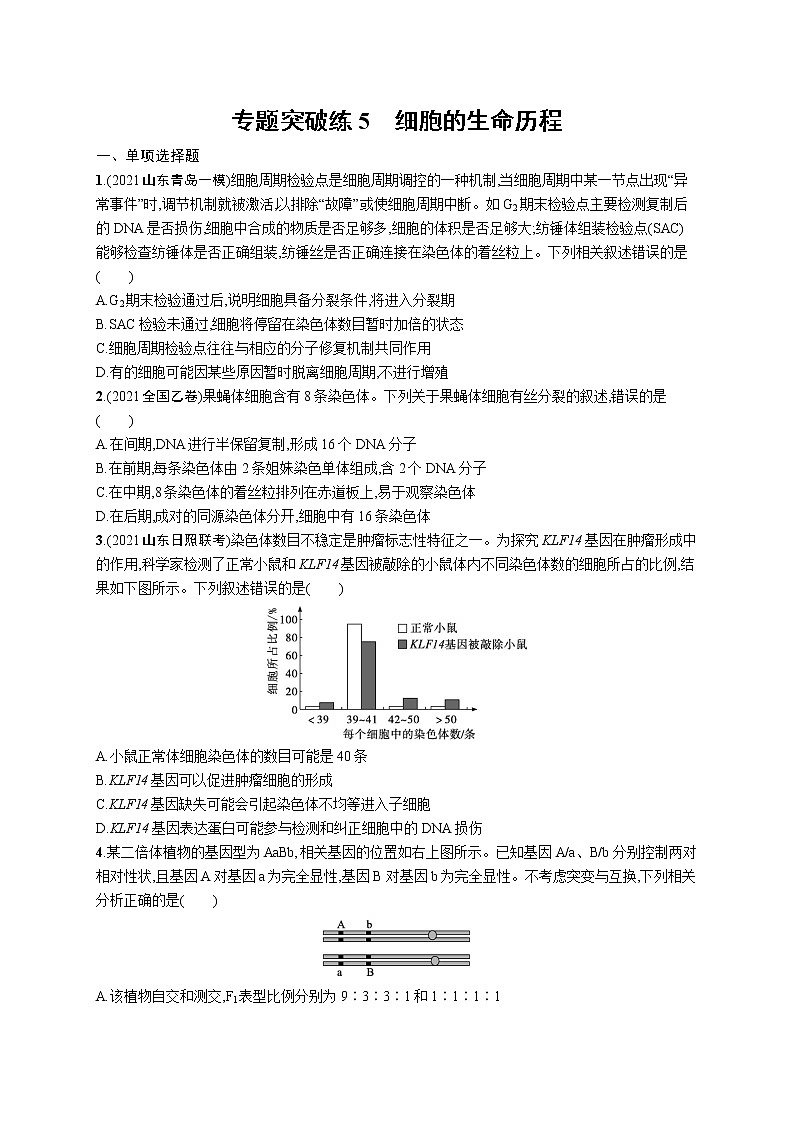 人教版新高考生物二轮复习专题训练--　细胞的生命历程第1页
