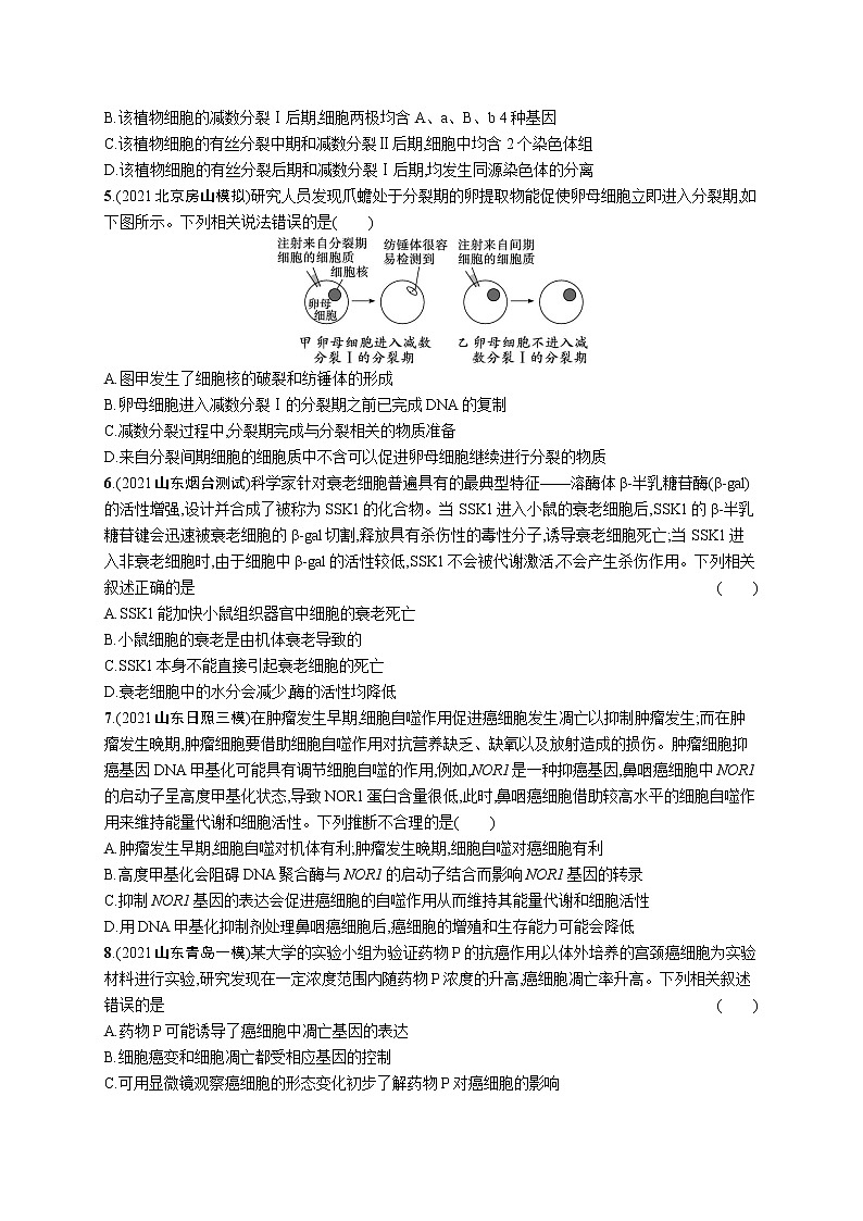 人教版新高考生物二轮复习专题训练--　细胞的生命历程第2页