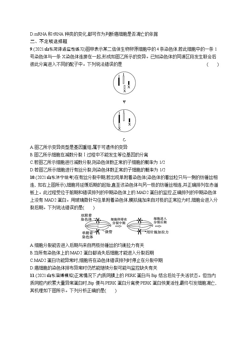 人教版新高考生物二轮复习专题训练--　细胞的生命历程第3页