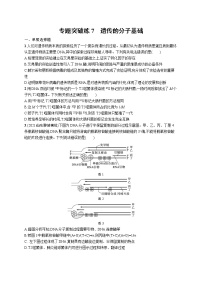 人教版新高考生物二轮复习专题训练--　遗传的分子基础