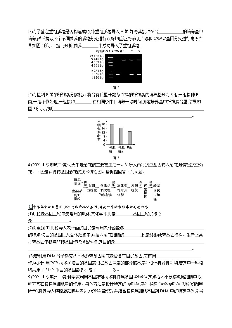 人教版新高考生物二轮复习专题训练--大题分析与表达练7　基因工程类大题突破第3页