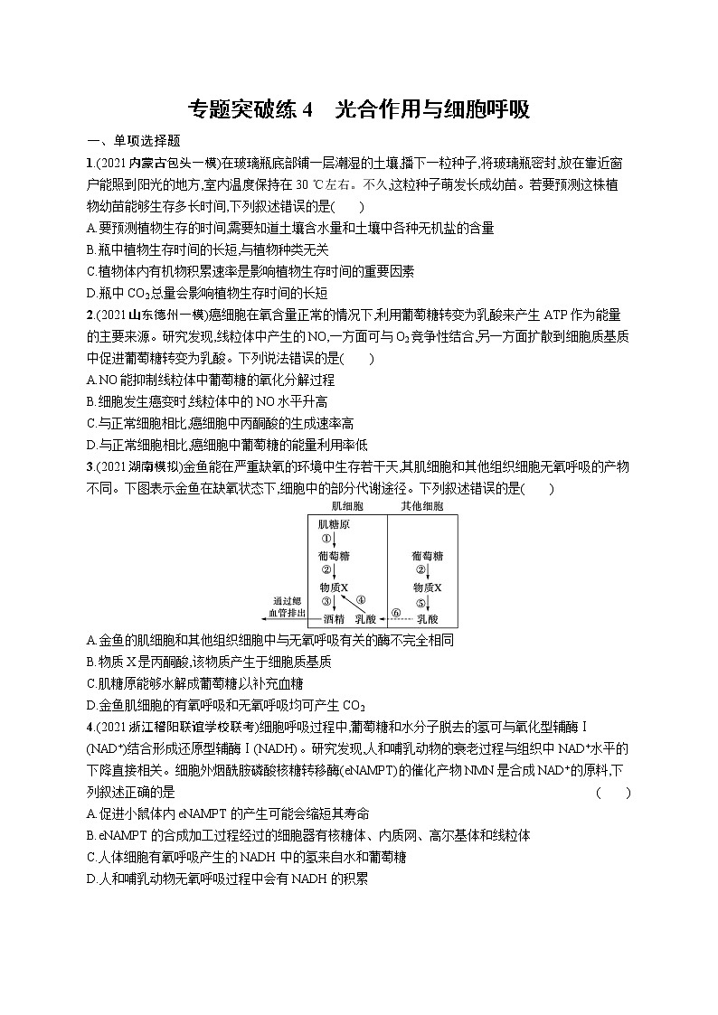 人教版新高考生物二轮复习专题训练--光合作用与细胞呼吸01
