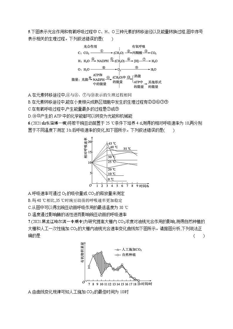 人教版新高考生物二轮复习专题训练--光合作用与细胞呼吸02