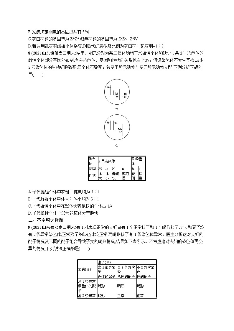 人教版新高考生物二轮复习专题训练--遗传规律与伴性遗传(含人类遗传病)第3页