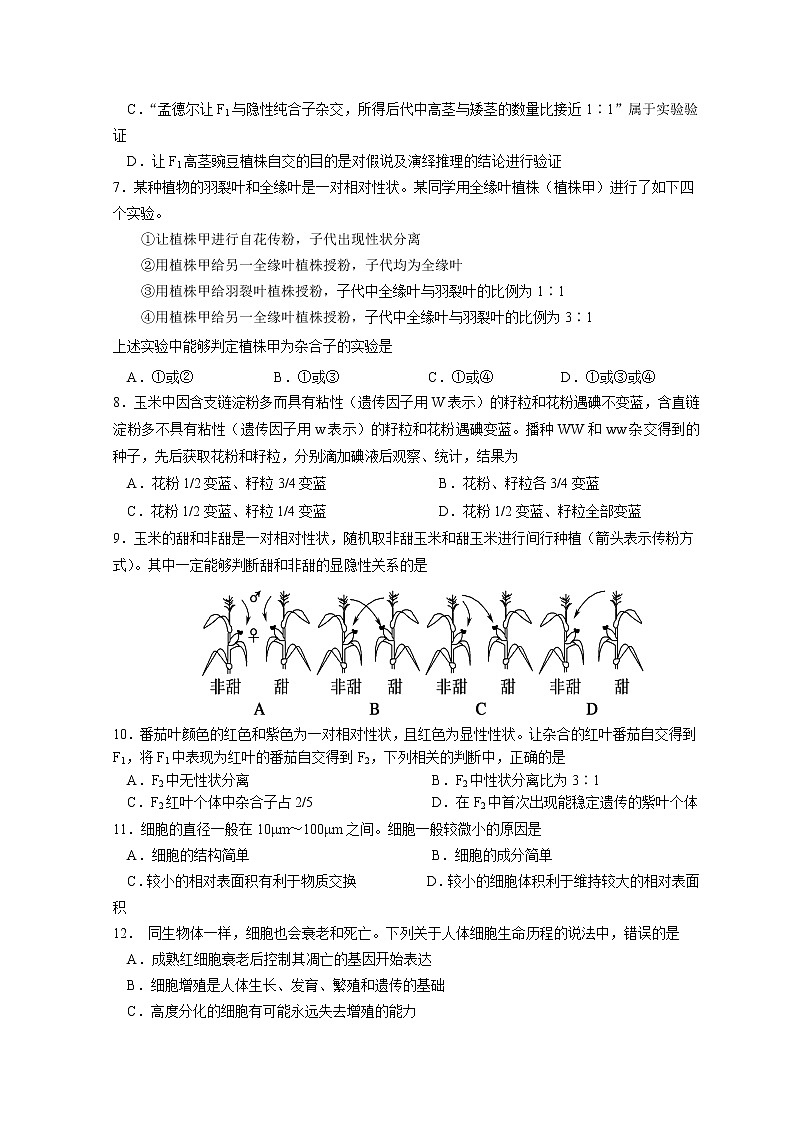 湖北省荆州市沙市中学2021-2022学年高一下学期第一次双周考（半月考）生物试题含答案02