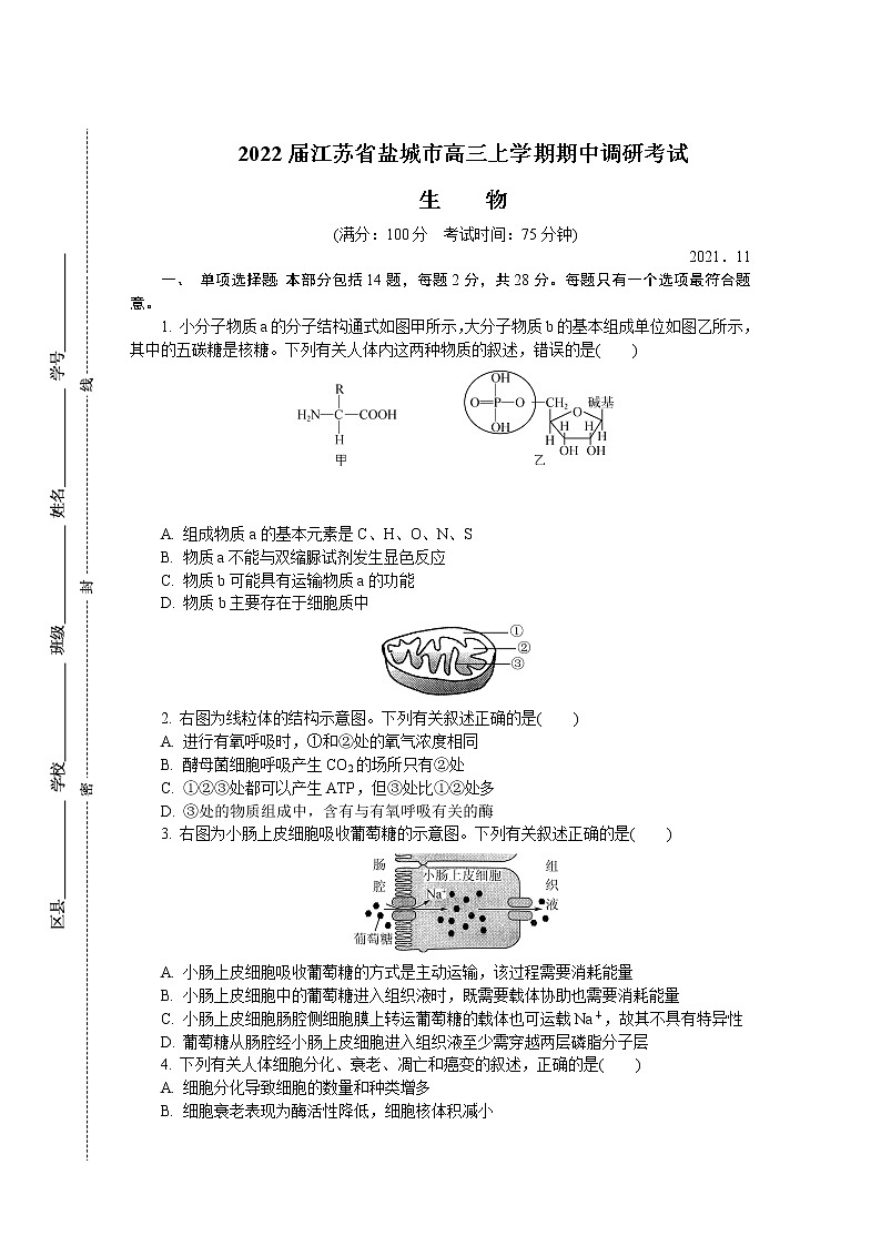 2022届江苏省盐城市高三上学期期中调研考试 生物（word版含答案）练习题第1页