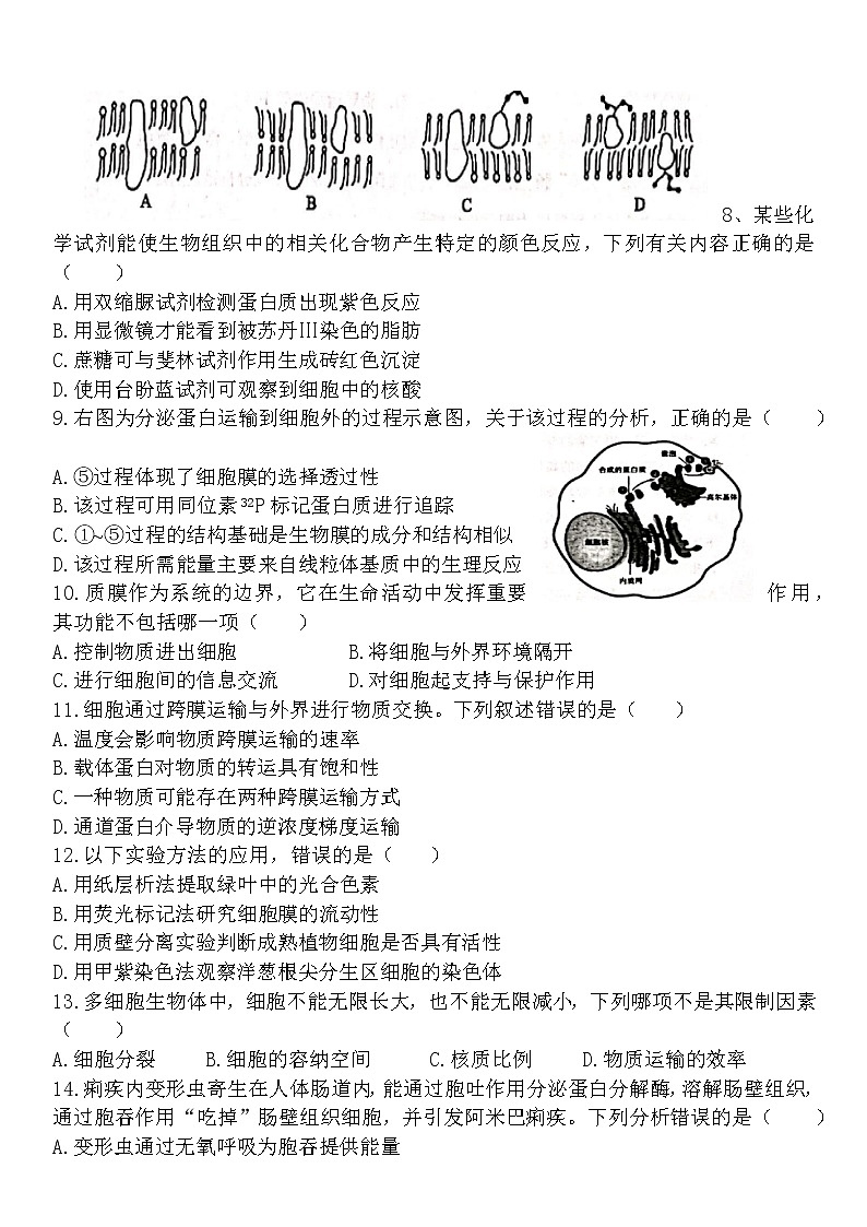 广东省深圳市宝安区2021-2022学年高一上学期期末调研测试生物试卷  word版，含答案02