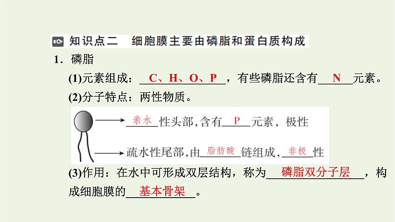 2021_2022学年新教材高中生物第二章细胞的结构第二节细胞膜控制细胞与周围环境的联系课件浙科版必修第一册第6页