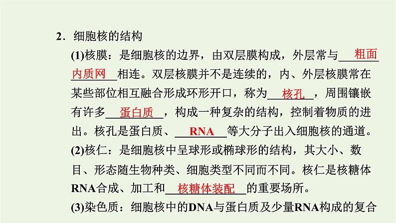 2021_2022学年新教材高中生物第二章细胞的结构第四节细胞核是细胞生命活动的控制中心课件浙科版必修第一册04