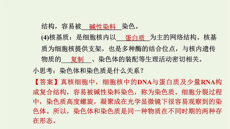 2021_2022学年新教材高中生物第二章细胞的结构第四节细胞核是细胞生命活动的控制中心课件浙科版必修第一册05