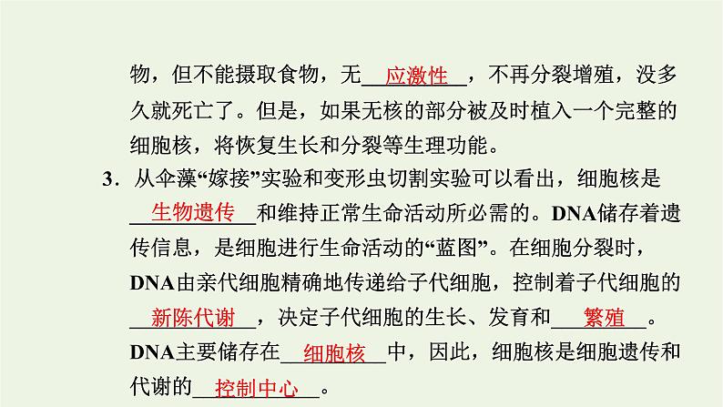 2021_2022学年新教材高中生物第二章细胞的结构第四节细胞核是细胞生命活动的控制中心课件浙科版必修第一册07