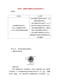 浙科版 (2019)必修1《分子与细胞》第四节 细胞核是细胞生命活动的控制中心导学案