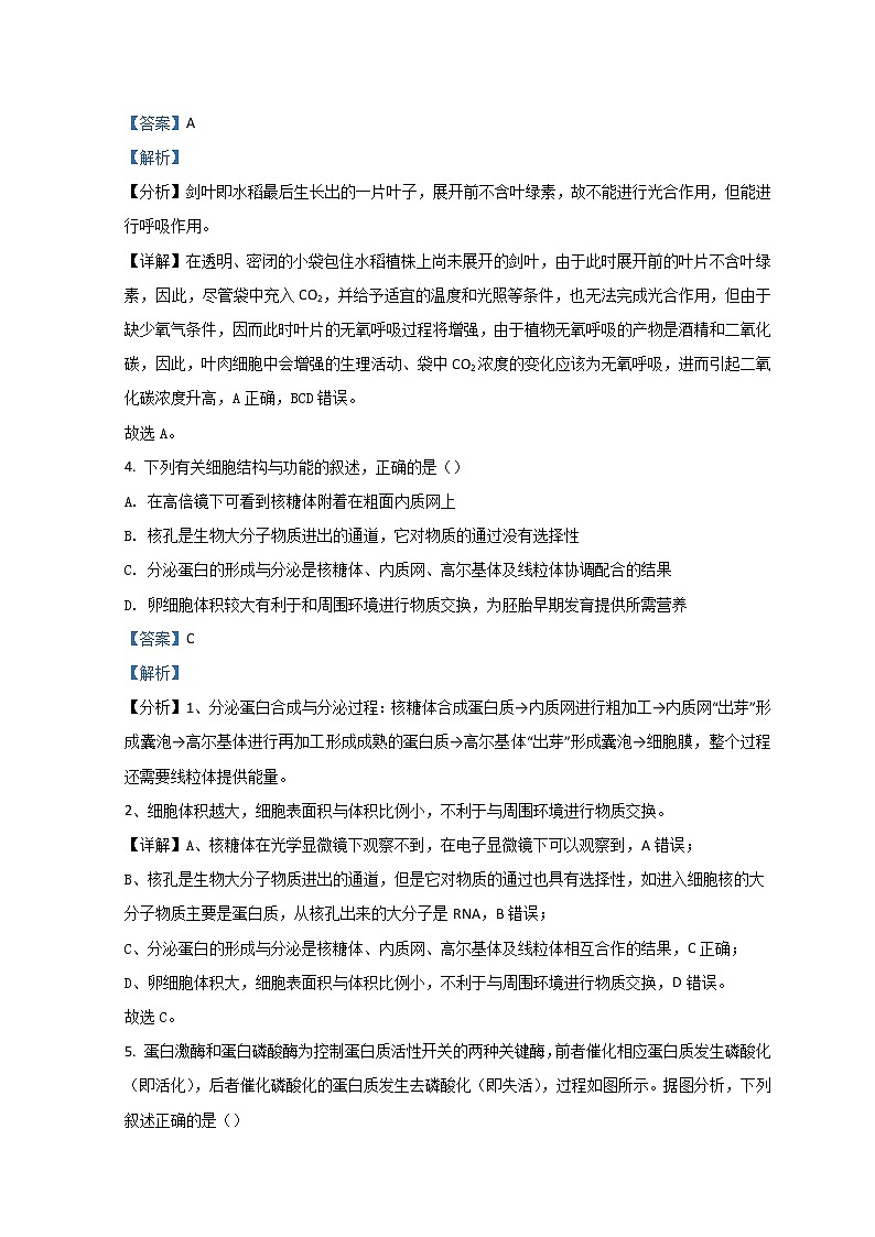 重庆市第八中学2021-2022学年高三下学期高考适应性月考（五）生物含解析第3页