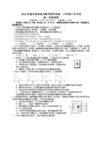 湖北省新高考联考协作体2021-2022学年高一下学期3月考试生物试题含解析