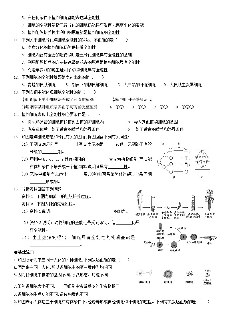 6.2 细胞的分化 习题【新教材】人教版（2019）高中生物必修一02