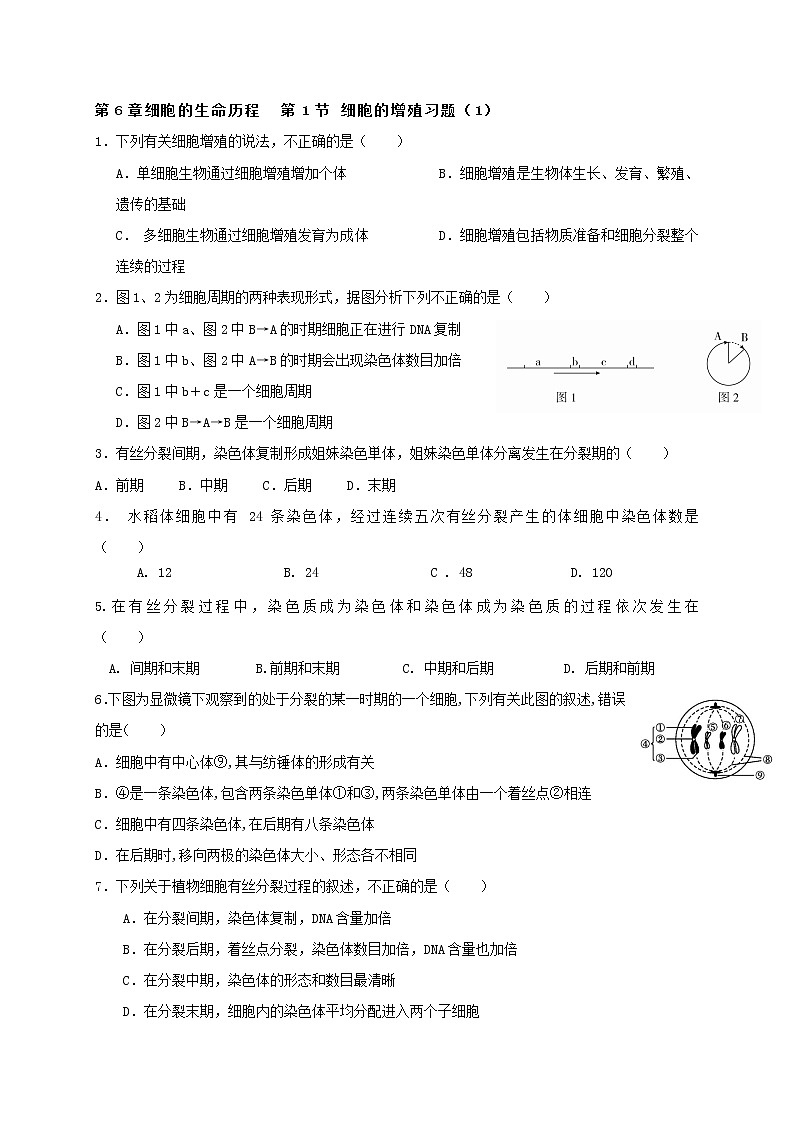 6.1 细胞的增殖 习题（1）【新教材】人教版（2019）高中生物必修一第1页