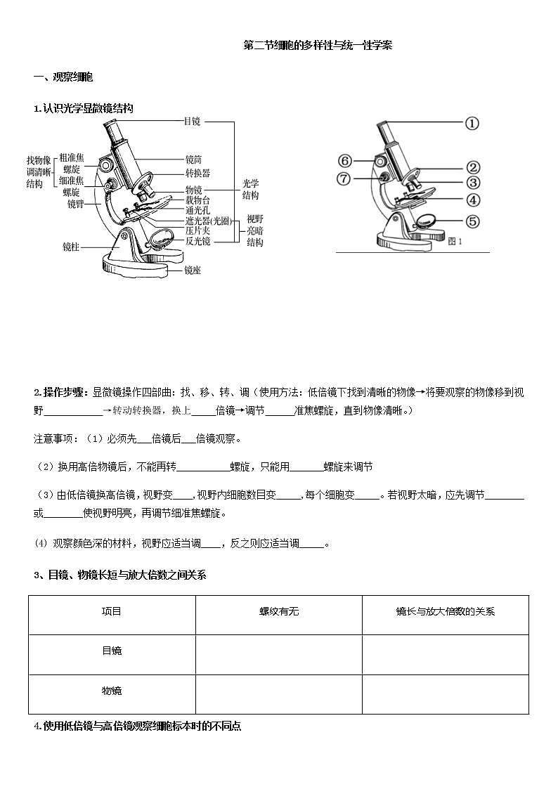 1.2 细胞的多样性和统一性  学案【新教材】人教版（2019）高中生物必修一第1页