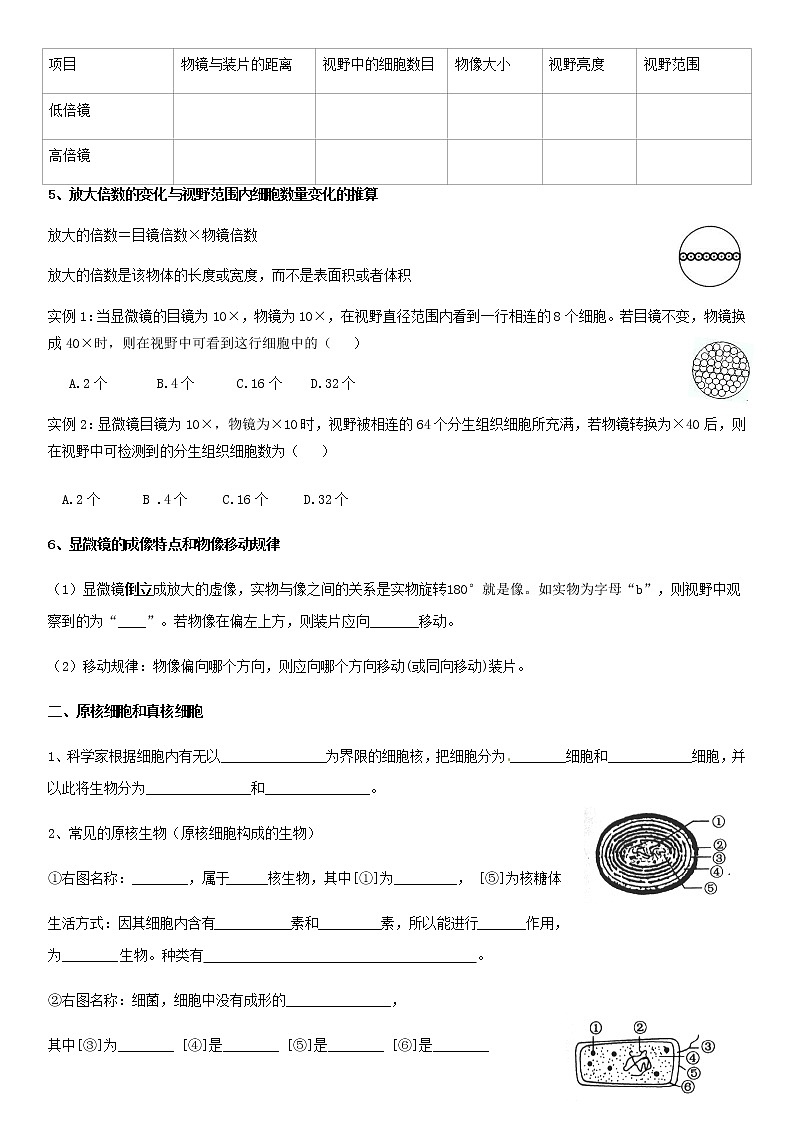 1.2 细胞的多样性和统一性  学案【新教材】人教版（2019）高中生物必修一第2页